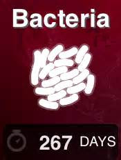 yo  spicy plague  bacteria speed run guide