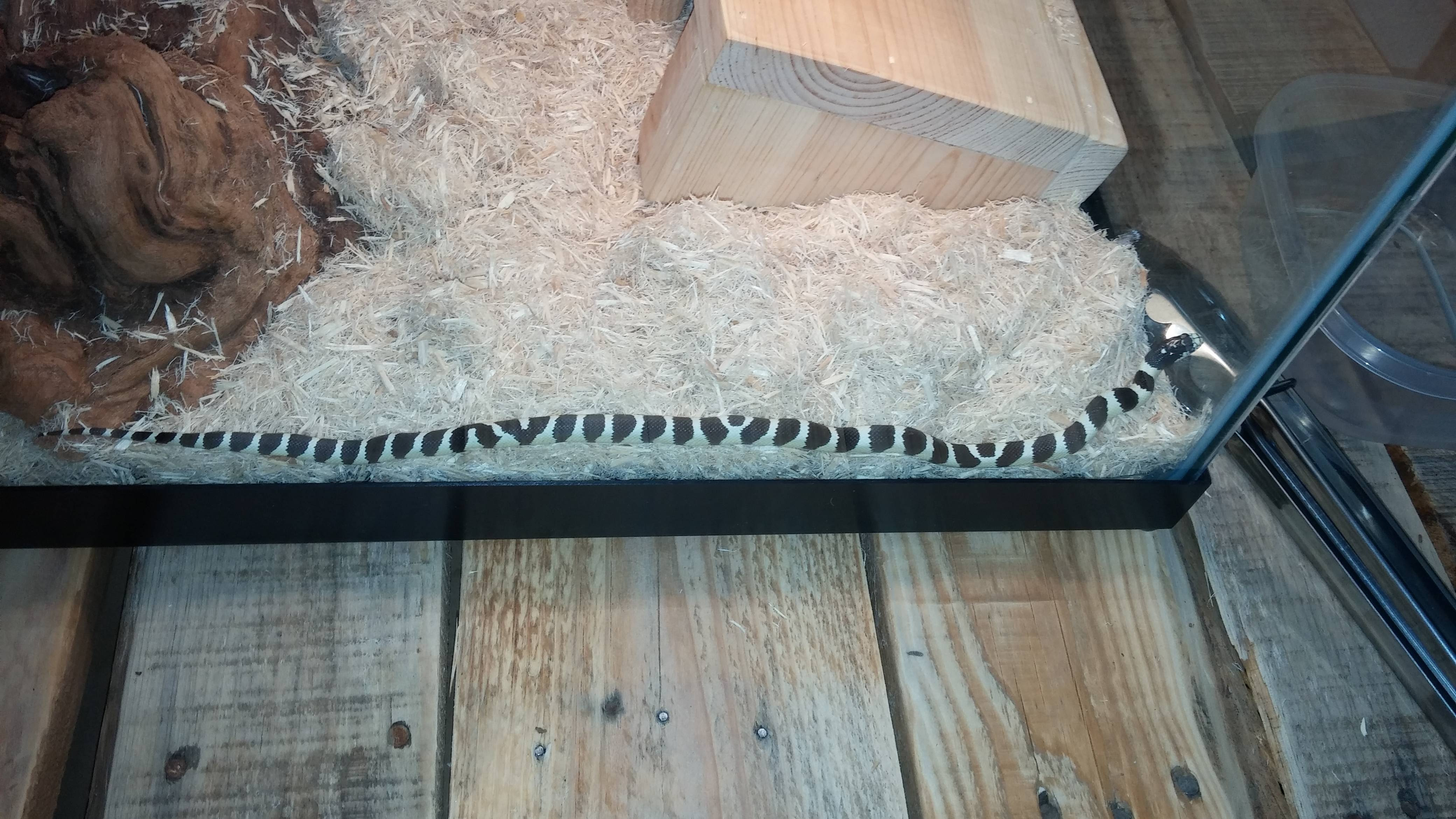 cal king headboard wood