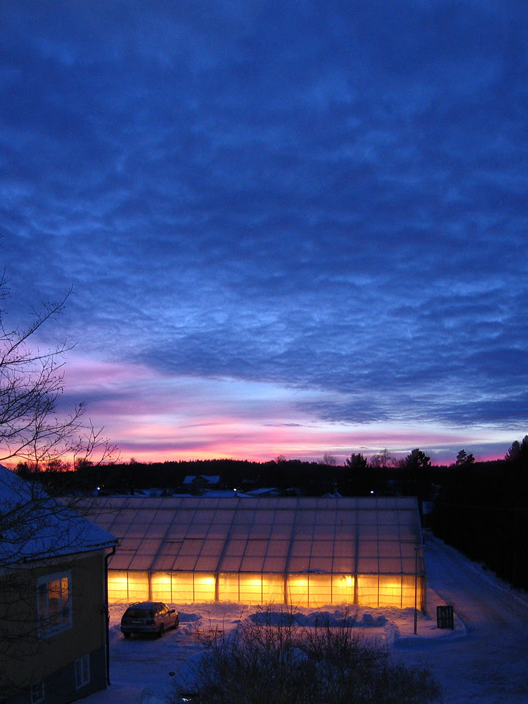 4 photos and 1 sunset IV
