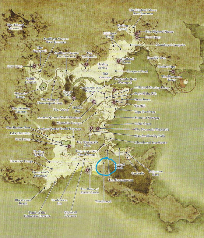 Where Is Witchwood Dragon S Dogma