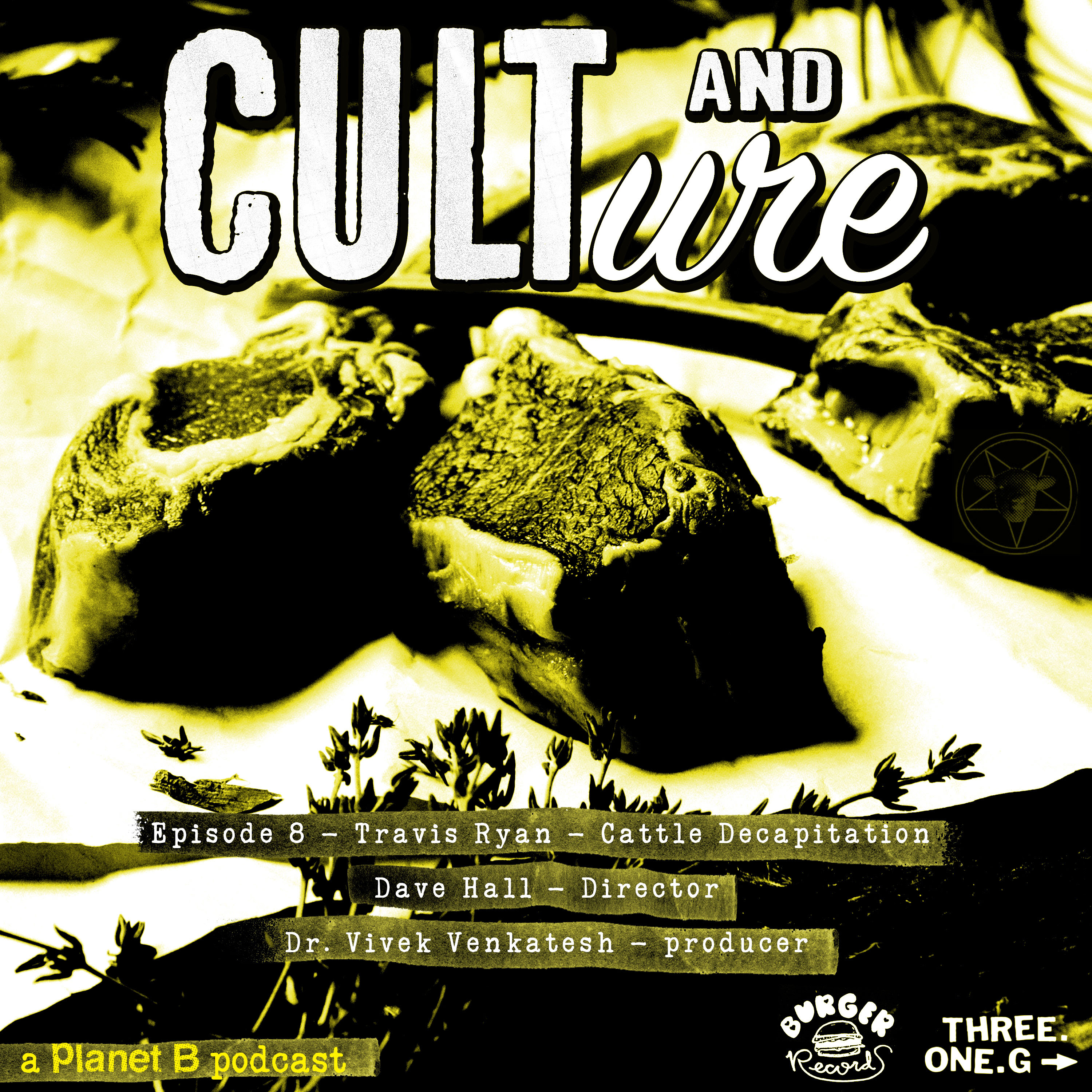 Cult and Culture 8