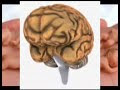 Drugs in Drinking Water Mind Control and Others Must Watch