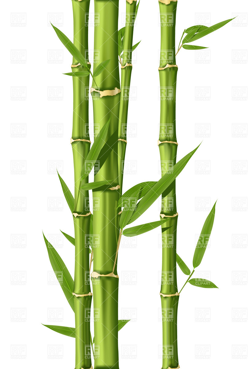 Bamboo poles clipart  Clipground