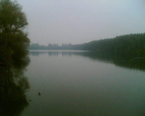 Elbsee im Nebel