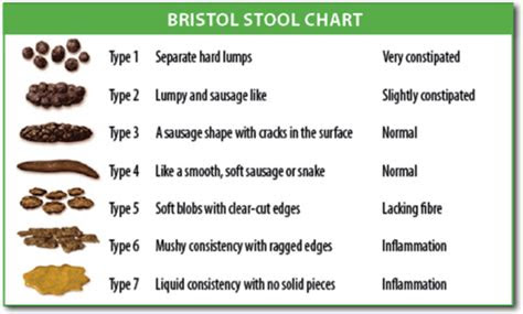  should i worry about my poop color nutrition by erin
