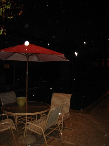 Snow at the Pool