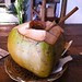 Young coconut