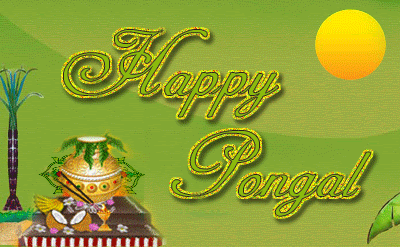 Pongal Greetings, pongal graphics, pongal cards