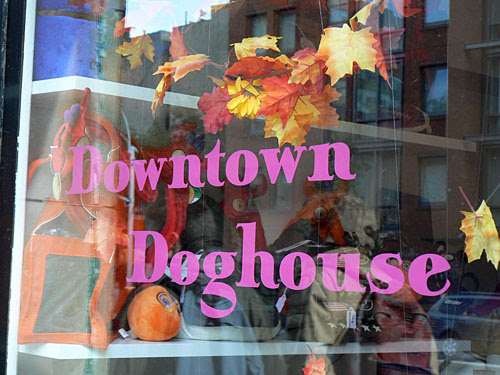 downtown doghouse.jpg
