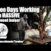Hollywood Juniper Trees Now
