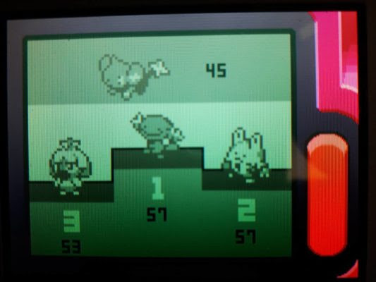 ポケトレ実践 ダイヤモンド 運が良すぎてわろわらわろり 塩 わい的ポケ色廃人
