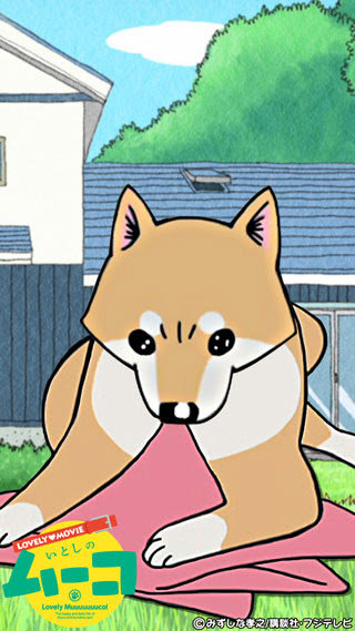 いとしのムーコ