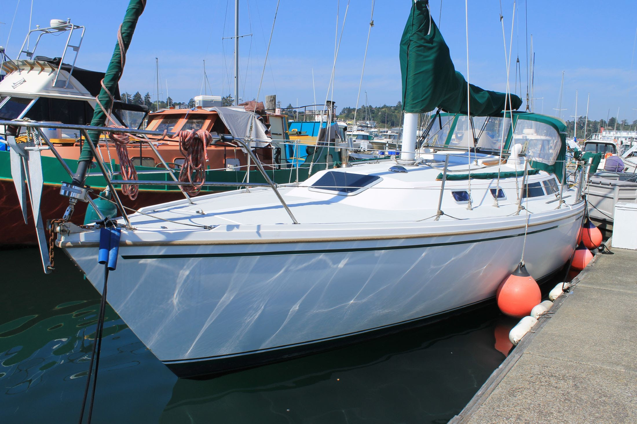 Catalina 36 Sailboat