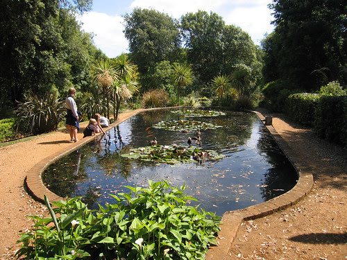 _122 Abbotsbury Subtropical Gardens