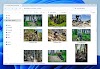 Windows 11: new AI-powered search for photos on OneDrive launches