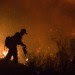 forest, fire, wild, fire, shasta, county, elier, bald, northern, california, drought, evacuation