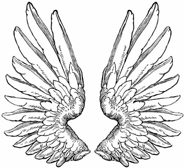 angel wings tattoo for girl design 1. Tribal Heart Tattoo Designs tattoo