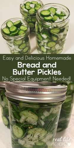 Easy and Delicious Bread and Butter Pickles Recipe (no special equipment needed!) | Real Life at Home
