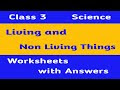 grade 3 science worksheets k5 learning - class 3 science 1 my body worksheet