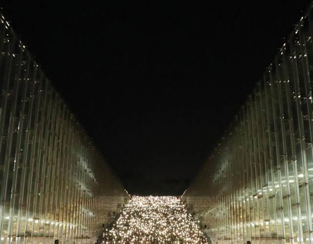 韩国一女子大学学生大规模点烛集会要校长辞职 搜狐新闻