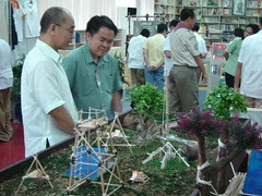 miniature camp