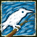  photo twitter_128_zpsonrfcizs.png