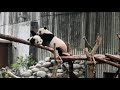 [ベスト] パンダ かわいい 画像 330448-ぱんだ かわいい 画像