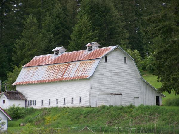 neeses old barn