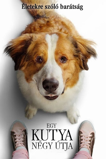 Kép