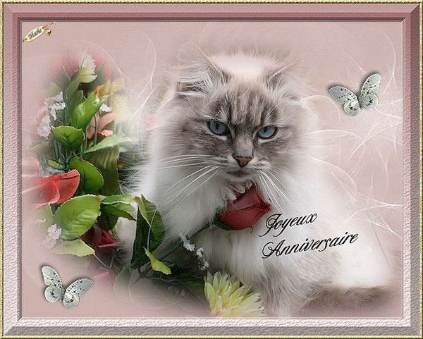 Joyeux Anniversaire Francine