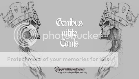 triple-h-grey-skulls-PSP- triple h wallpaper. triple-h-grey-skulls-PSP-