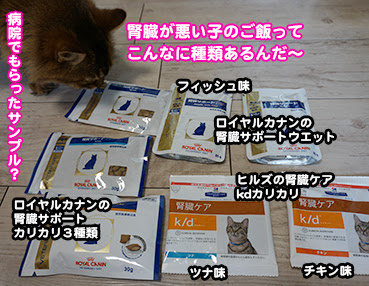 4144 腎臓フード お散歩大好き猫ブログ