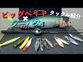 コンプリート！ シーバス タックル ベイト 299590-シーバス タックル ベイト