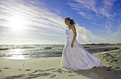Weddings