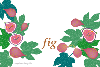最も好ましい イチジク イラスト 人気のイラスト画像 無料ダウンロード