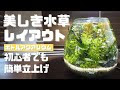 200以上 バランス ド アクアリウム 水草 319090