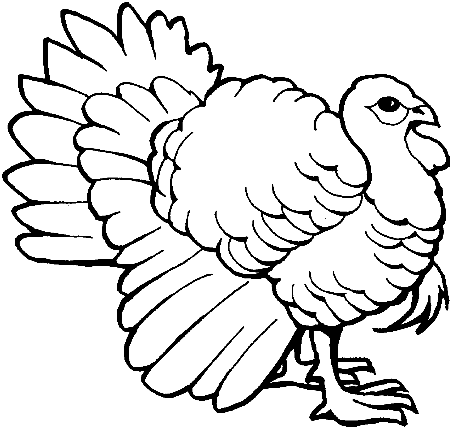 Cooked Turkey Drawing