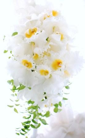 女王さまとお呼び 花束ね人 Happy Come