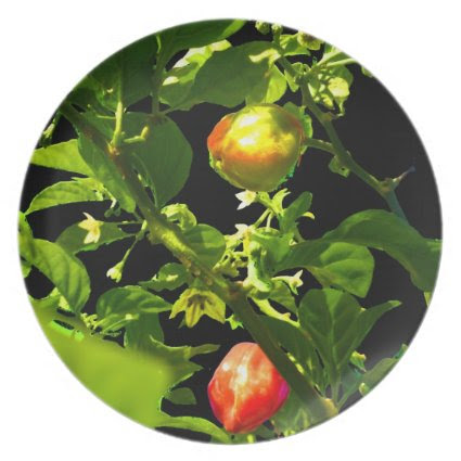two hot peppers green foliage black back.jpg party plate