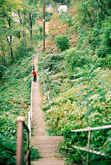 fall2010_03_sml