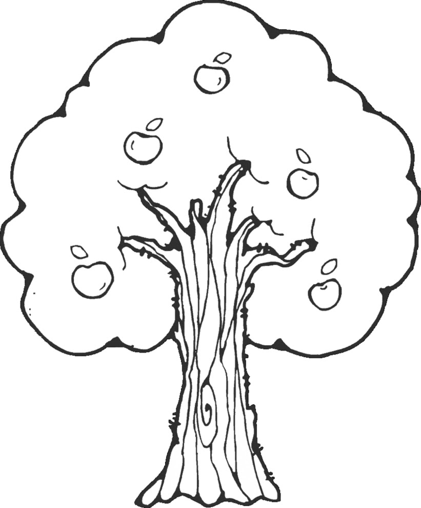 Disegno di Albero di mele da colorare