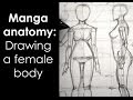Anime Anatomy Reference For Artists