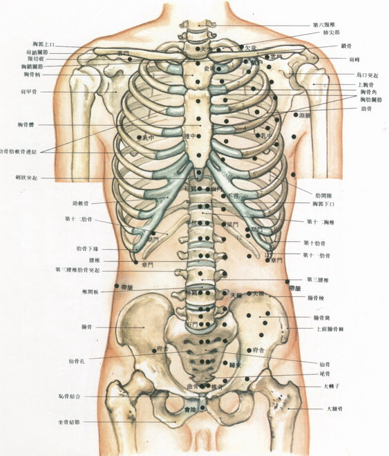 2 肋骨疼痛 穴道 經絡 Acupuncture Study Udn部落格