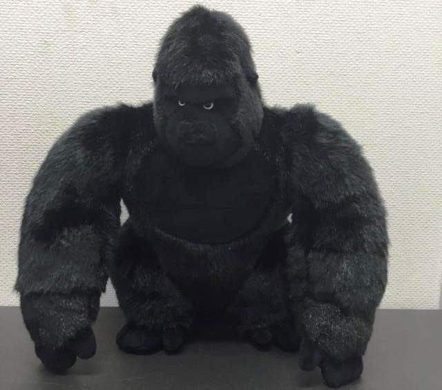 シャバーニの誕生日を記念して オフィシャルブログ 東山動植物園