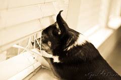 55/365: I Spy