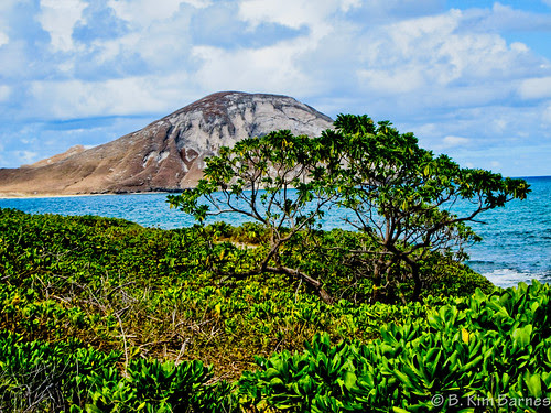Oahu Shore by kimbar