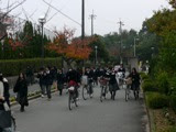 P1200601-1.JPG