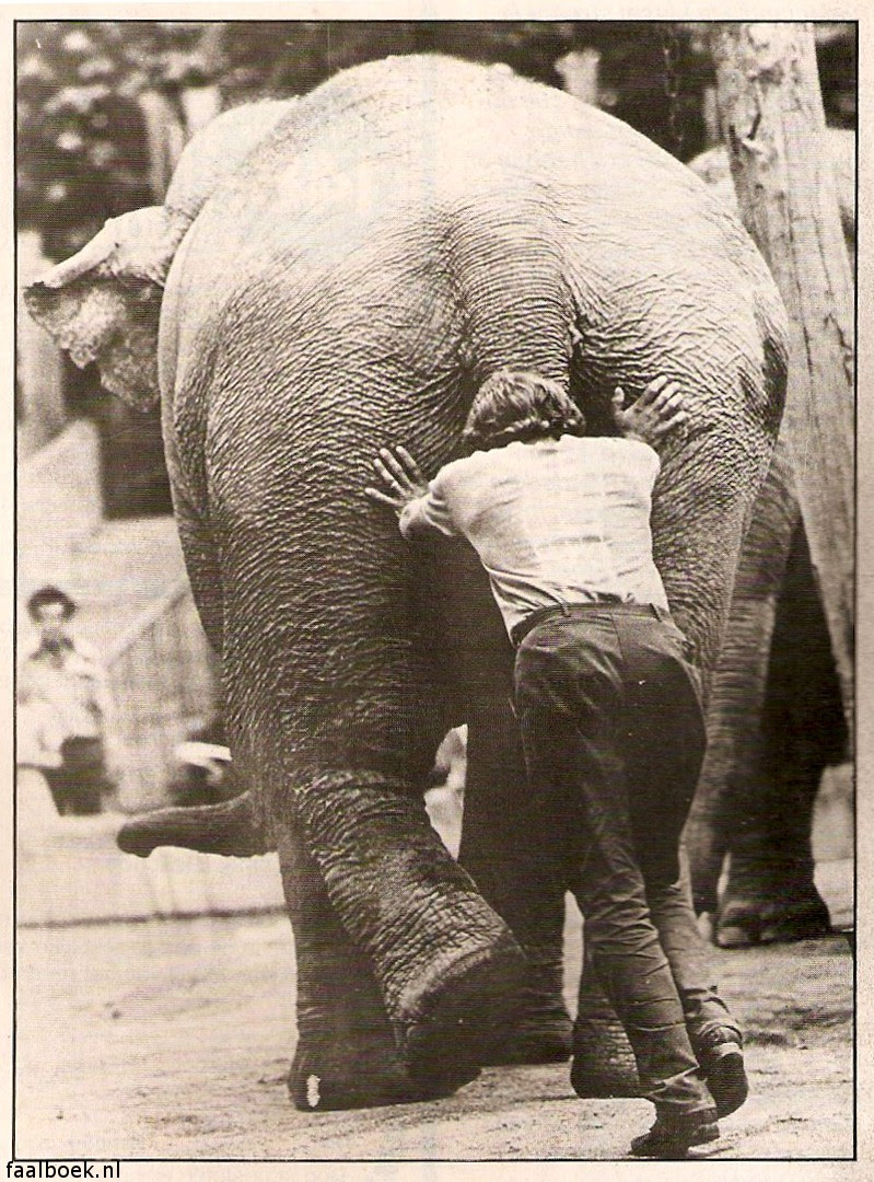 Afbeeldingsresultaat voor duwtje in de rug