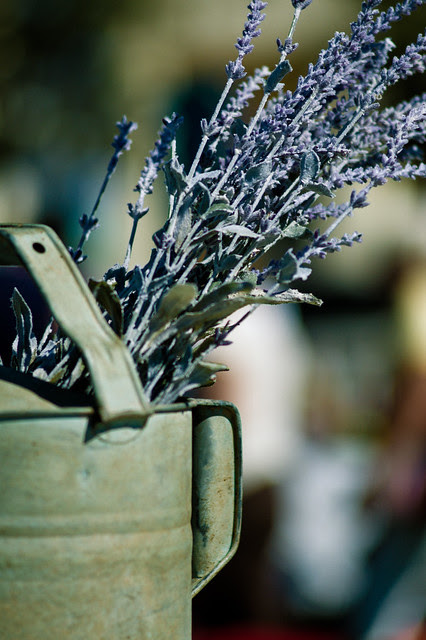"...and the afternoon flowed on into lavender evening."