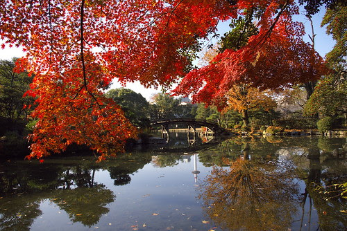 京都の紅葉07 東本願寺渉成園 Dynamical Properties